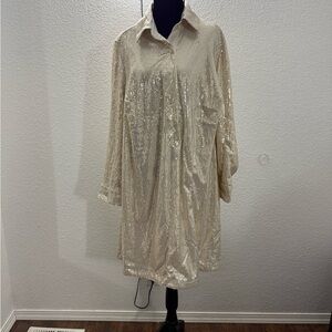 Sequin Shirt Dress NWT with Pockets NWT size 0x 14 in Champagne